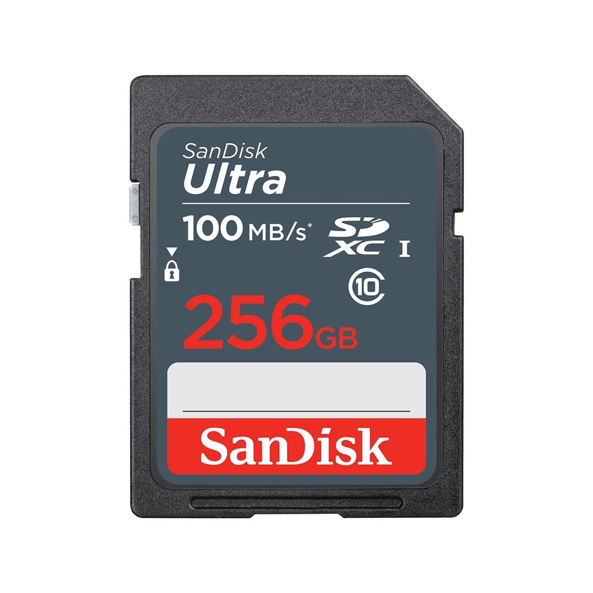 Карта пам'яті SDHC UHS-1 SanDisk Ultra 256Gb class 10 100Mb/s (SDSDUNR-256G-GN3IN)
