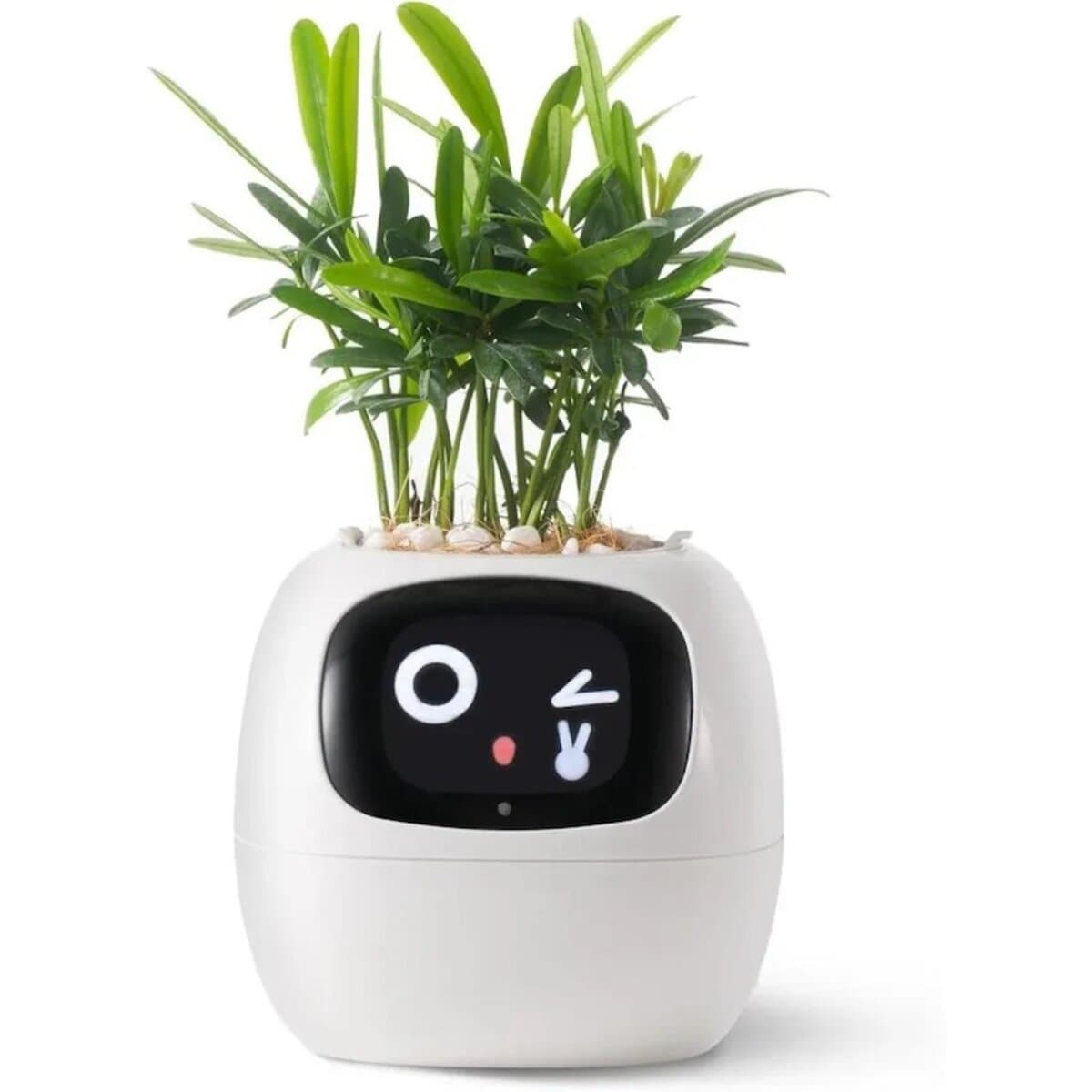 Інтерактивний розумний горщик для рослин Ivy Smart Planter Tuya AI Li-ion 2000mAh Type-C White (ISPTAW)