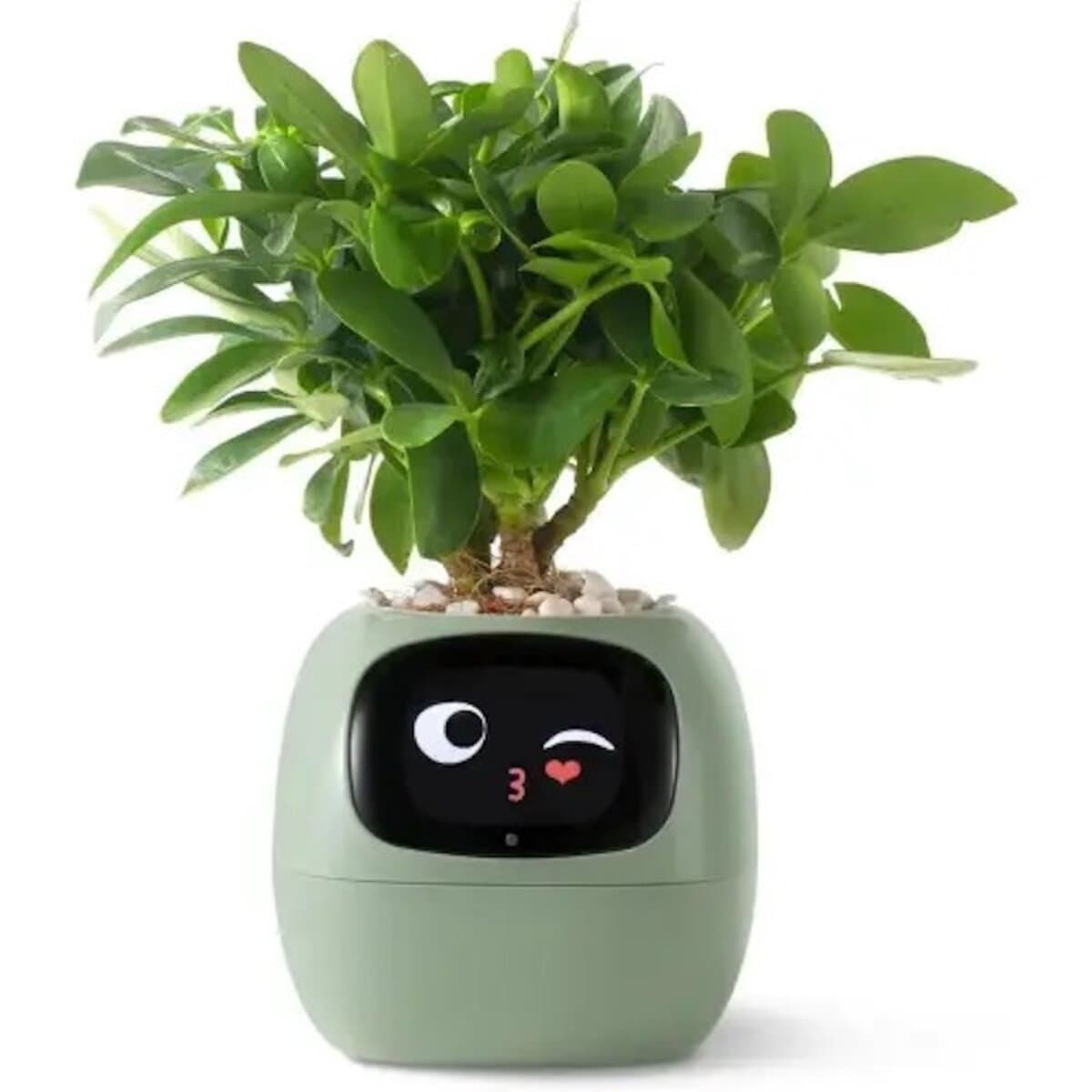 Інтерактивний розумний горщик для рослин Ivy Smart Planter Tuya AI Li-ion 2000mAh Type-C Green (ISPTAG)