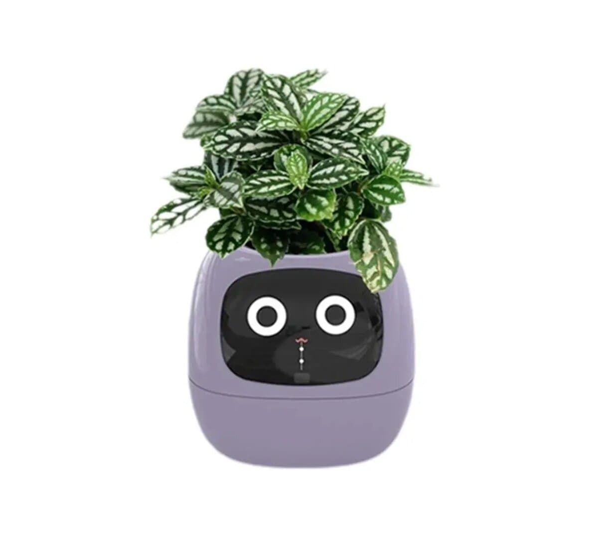 Інтерактивний розумний горщик для рослин Ivy Smart Planter Tuya AI Li-ion 2000mAh Type-C Purple (ISPTAPR)